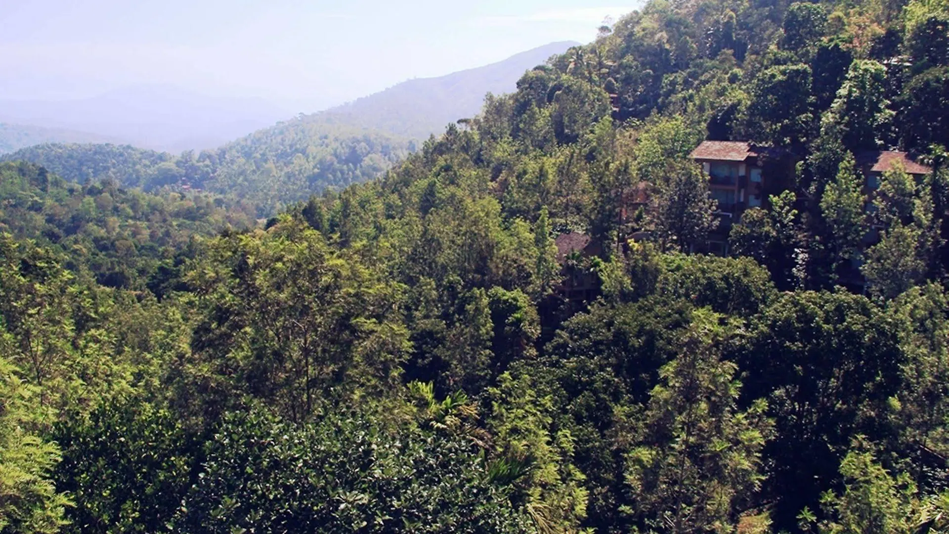 Oxygen Resorts Thekkady